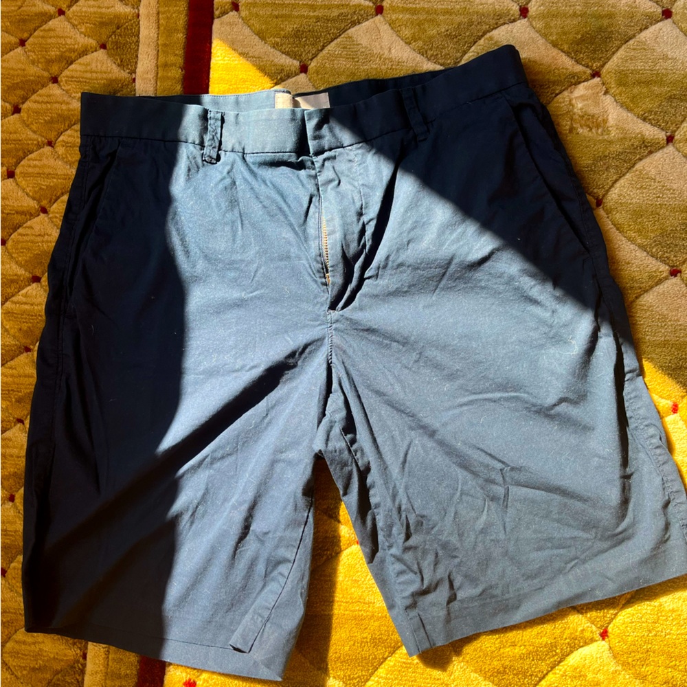 Everlane men dress shorts